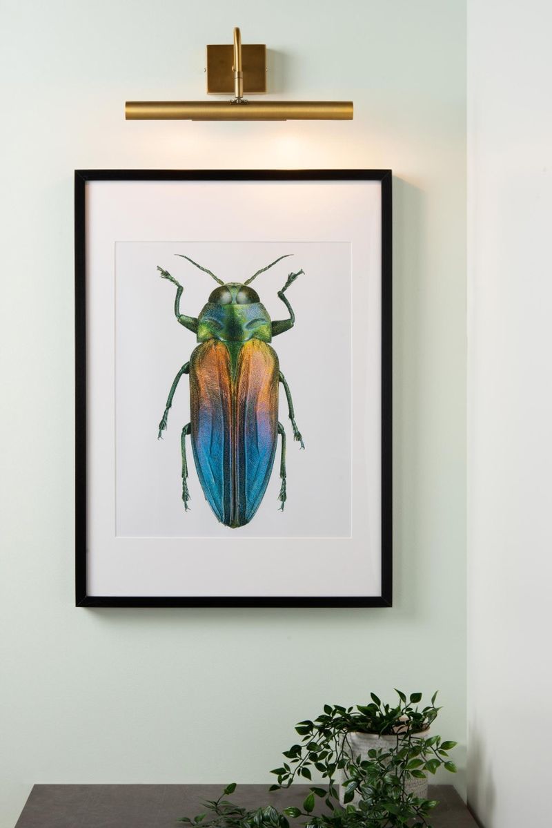 Lucide VINZ - Obrazové svetlo - 2xG9 - Matt Gold / Mosadz